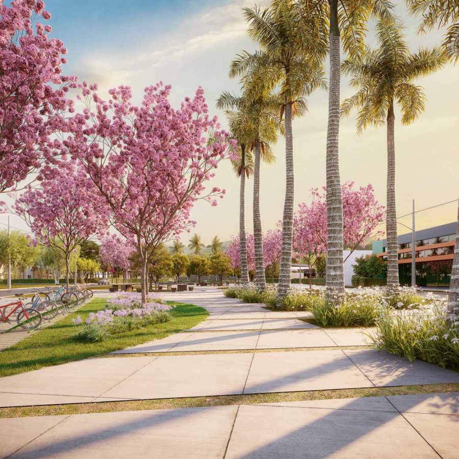 Perspectiva Artística do CICLO PARK