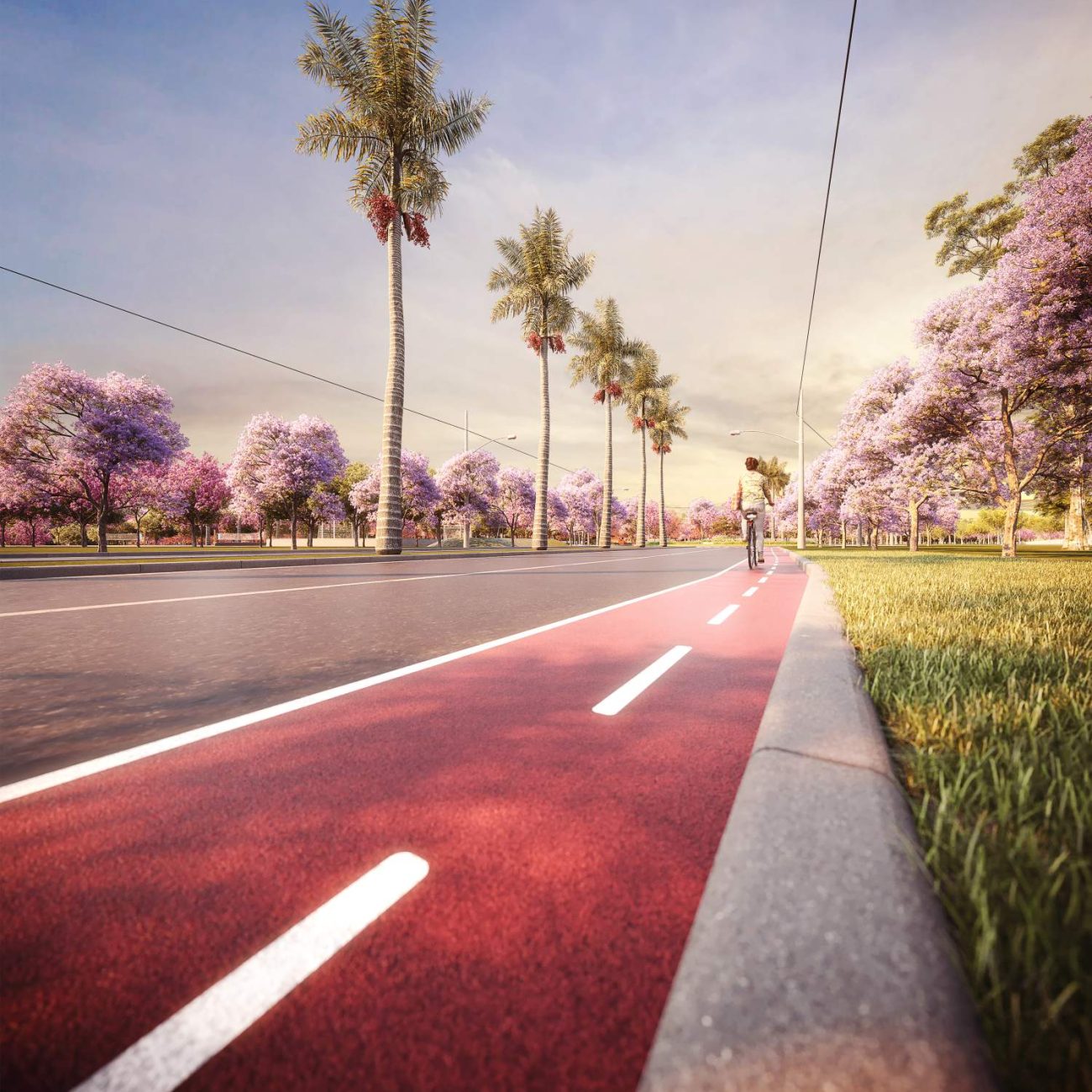 Perspectiva Artística da CICLOFAIXA