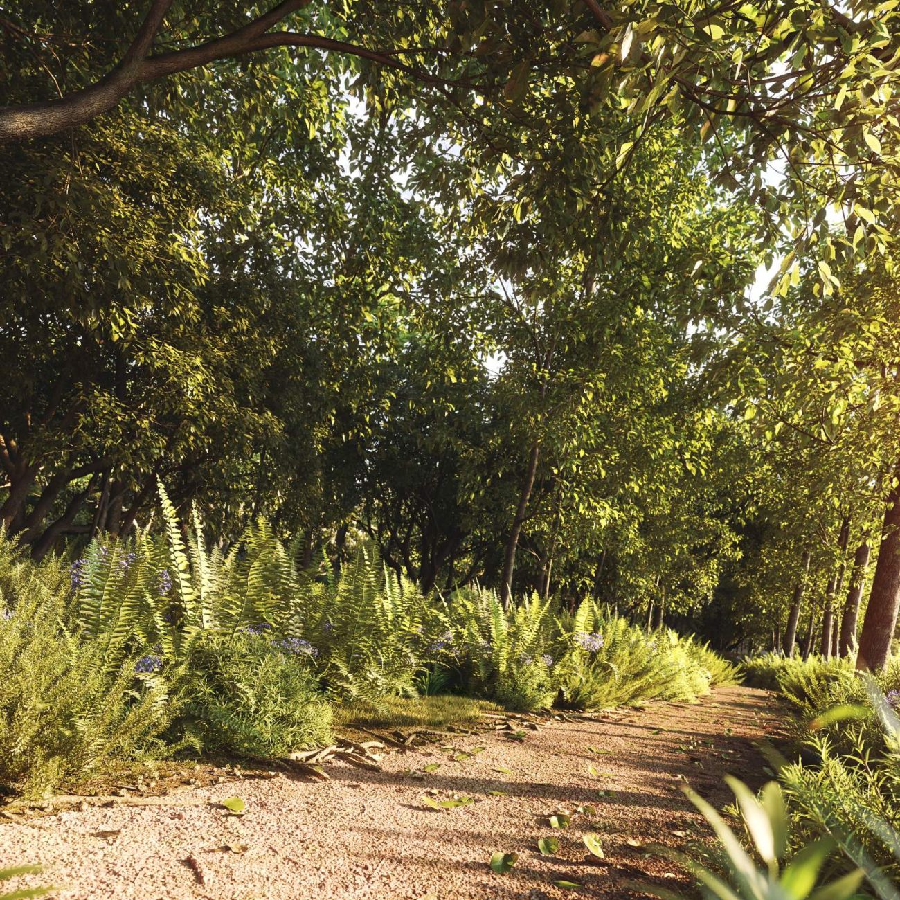 Perspectiva Artística da PISTA DE CAMINHADA